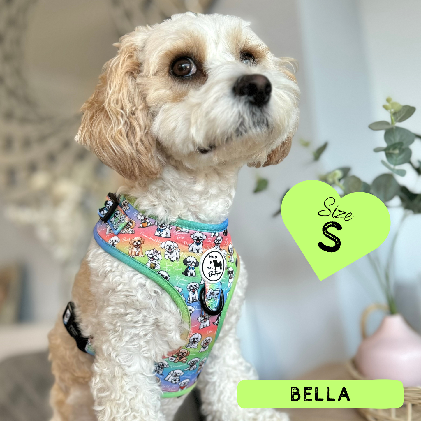 Oh My Bichon! | Adjustable Harness