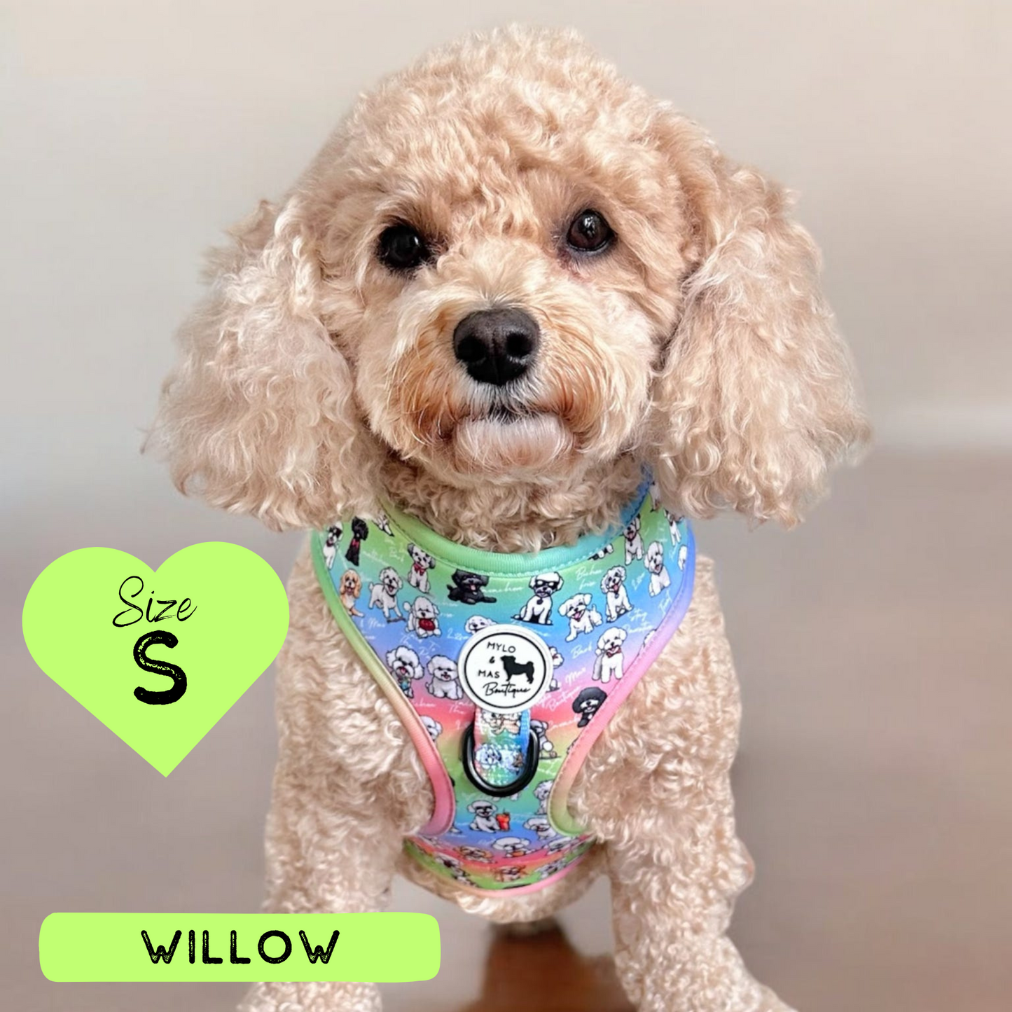 Oh My Bichon! | Adjustable Harness