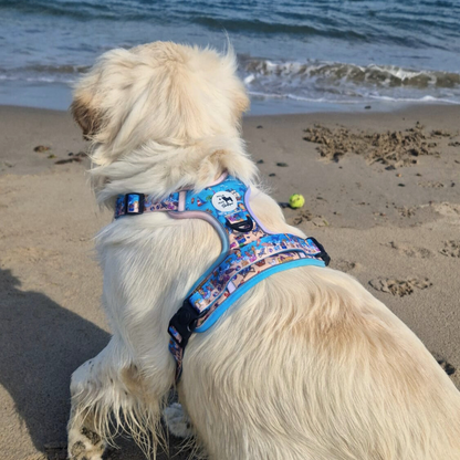 Sun of a Beach | Mighty Hounds XL harness