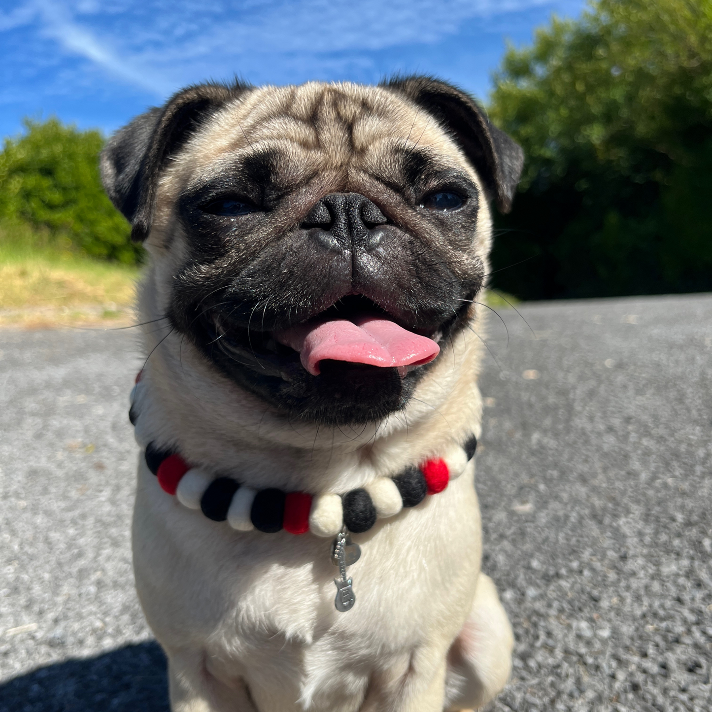 Dog Pom Pom Necklace - Bone Jovie