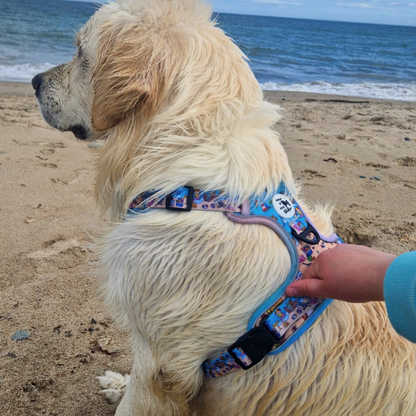 Sun of a Beach | Mighty Hounds XL harness