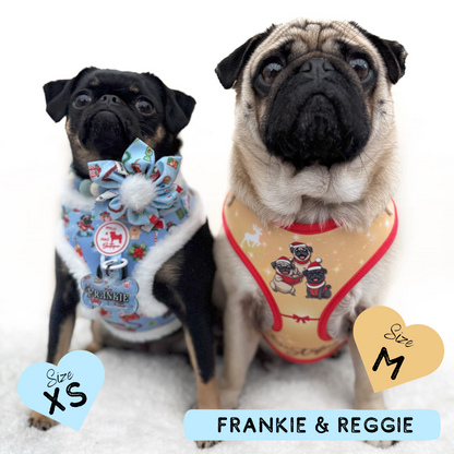 A Pugmas Carol | Adjustable Harness