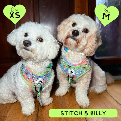 Oh My Bichon! | Adjustable Harness