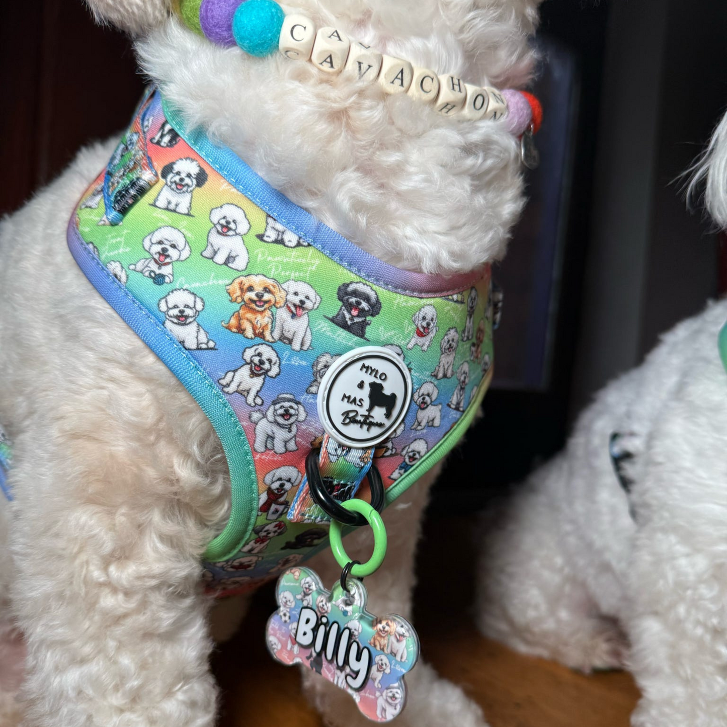 Oh My Bichon! | Adjustable Harness