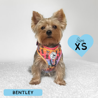 Oh My Yorkie Adjustable Harness Mylo and Mas Boutique