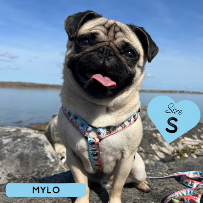 Oh My Pug! | Strap Harness