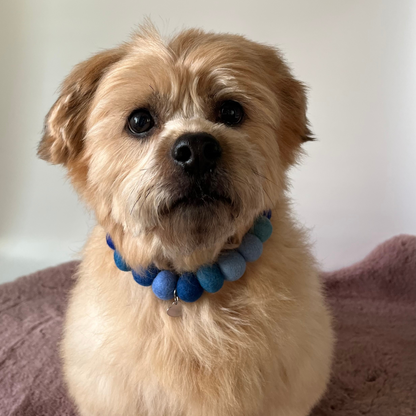 Dog Pom Pom Necklace - Social Media Star Blue