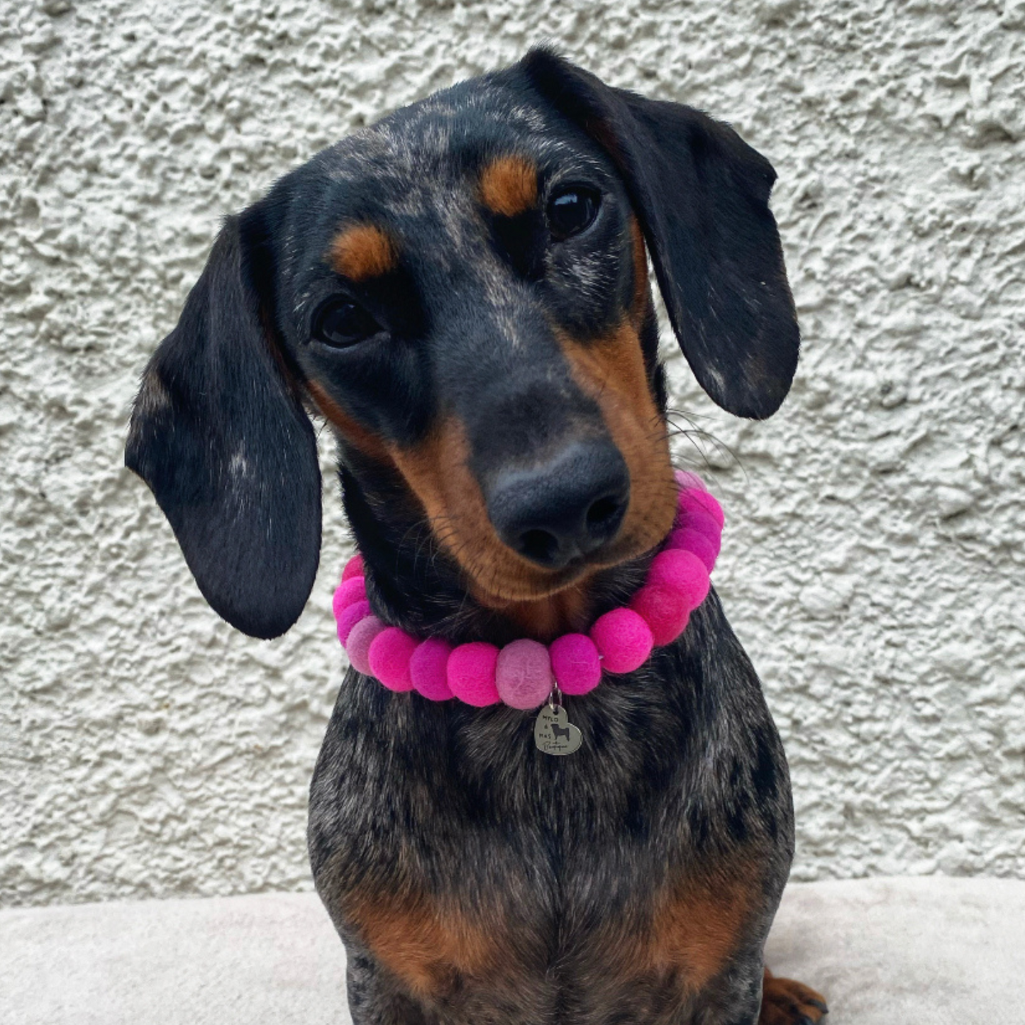 Dog Pom Pom Necklace - Social Media Star Pink