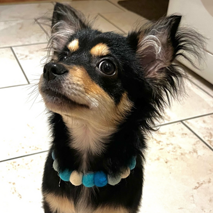 Dog Pom Pom Necklace - Sea Vibes