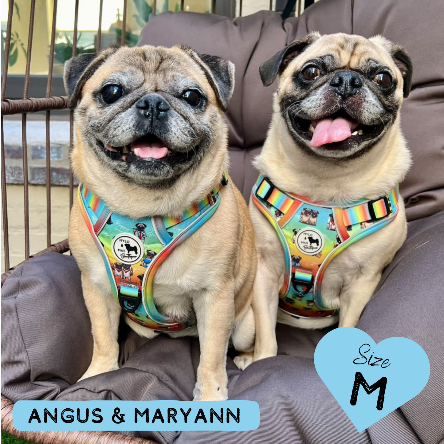 Oh My Pug! | Mighty Hounds Harness