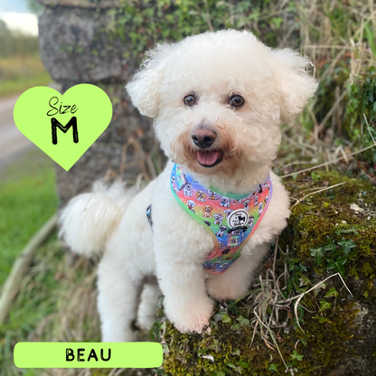 Oh My Bichon! | Adjustable Harness