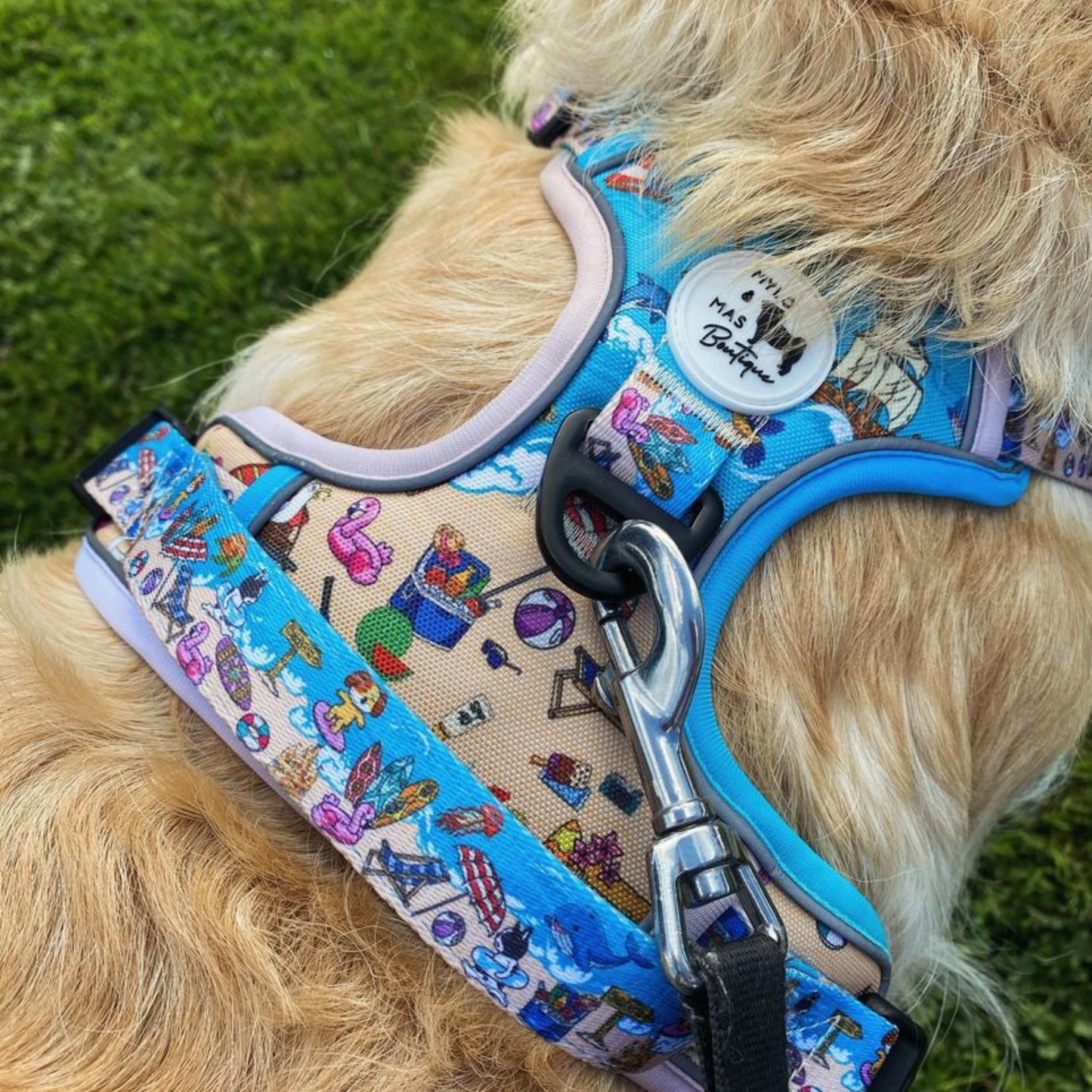 Sun of a Beach | Mighty Hounds XL harness