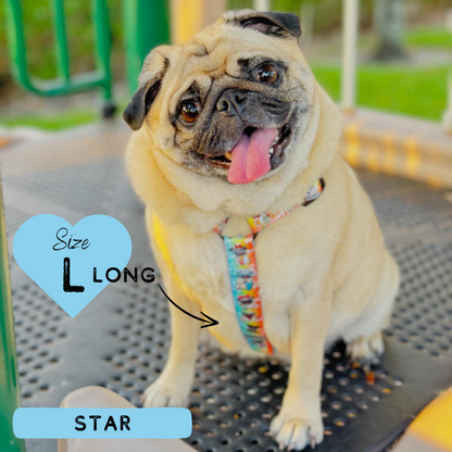 Oh My Pug! | Strap Harness