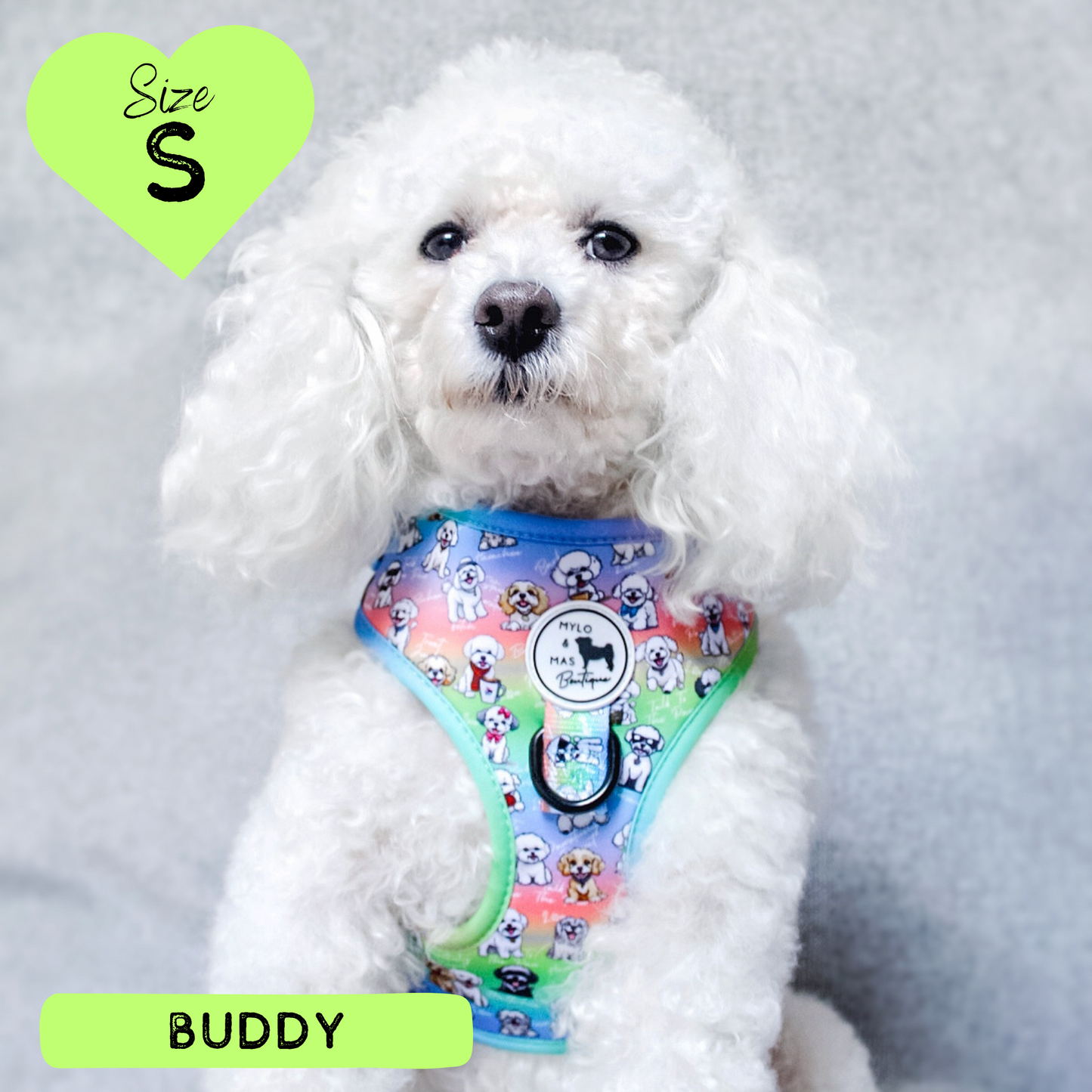 Oh My Bichon! | Adjustable Harness