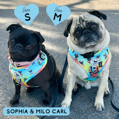 Oh My Pug! | Adjustable Harness