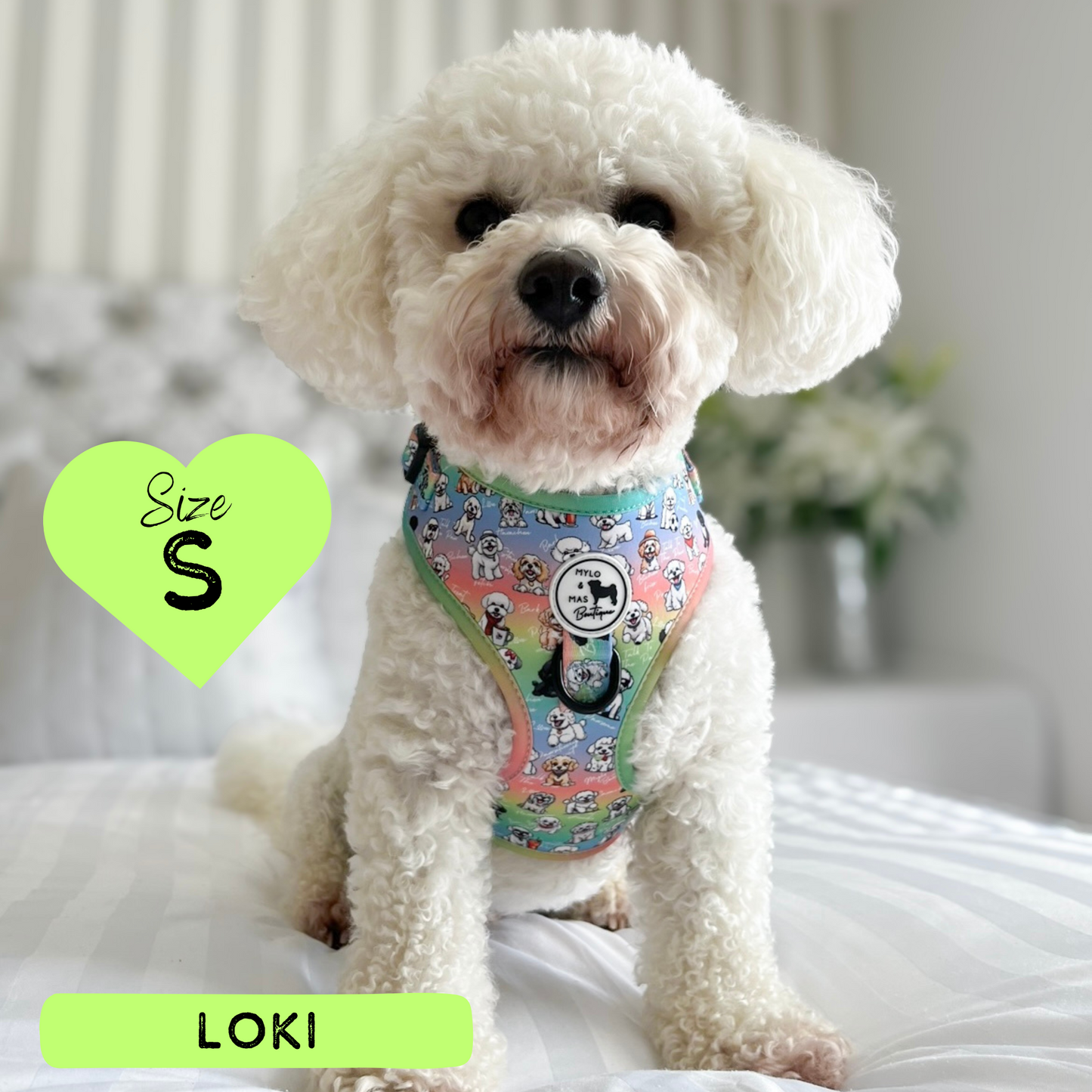 Oh My Bichon! | Adjustable Harness