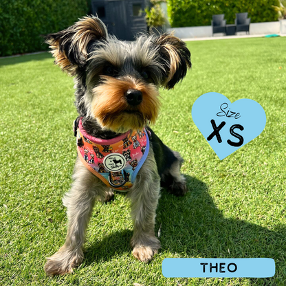 Oh My Yorkie! | Adjustable Harness