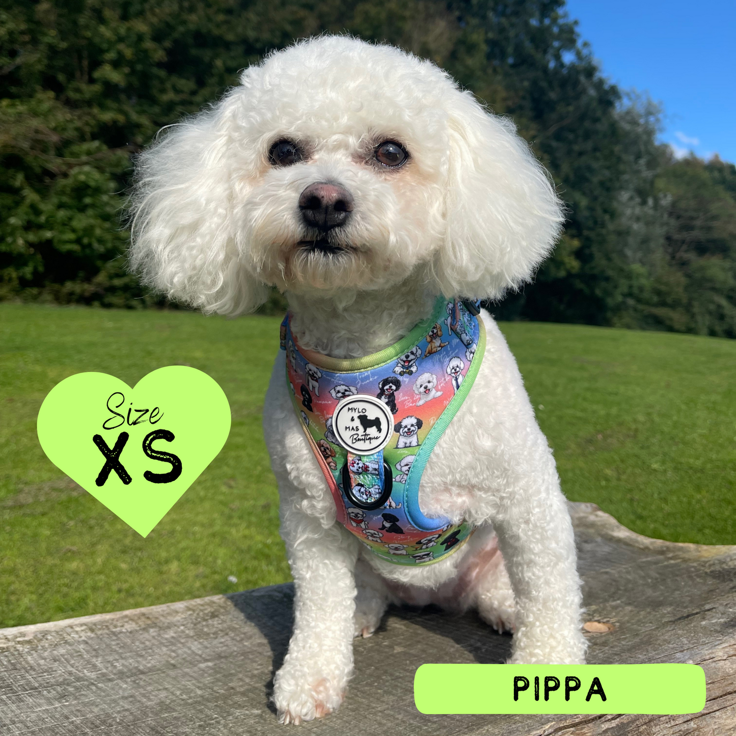 Oh My Bichon! | Adjustable Harness