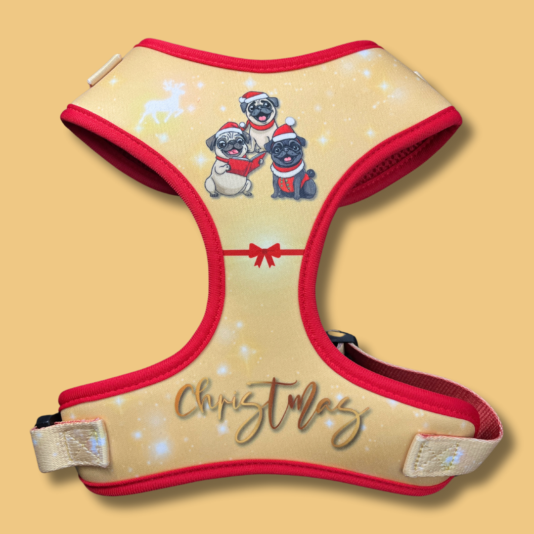 A Pugmas Carol | Adjustable Harness