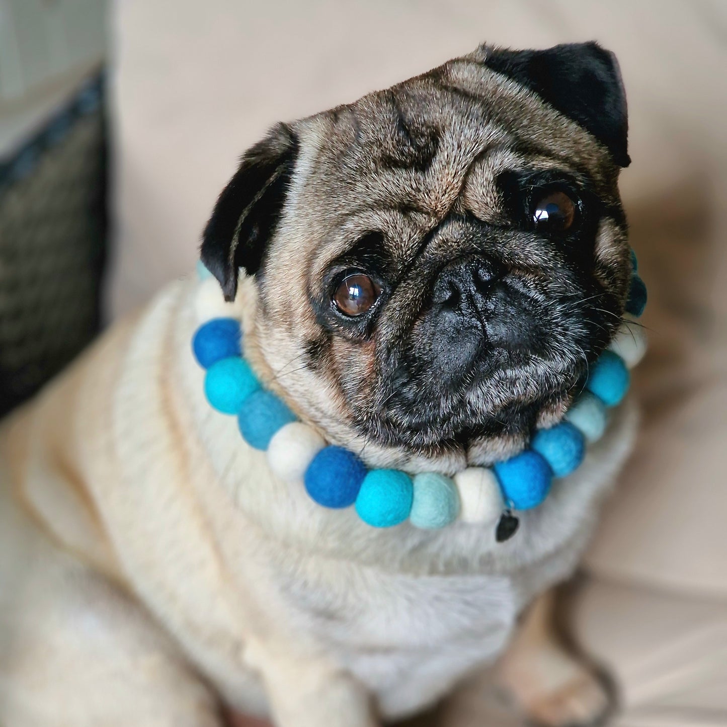 Dog Pom Pom Necklace - Sea Vibes