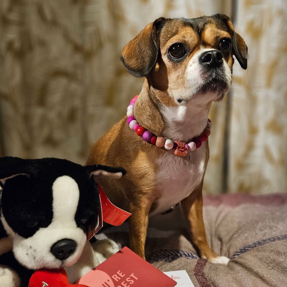 Dog Pom Pom Necklace - Valentine's edition