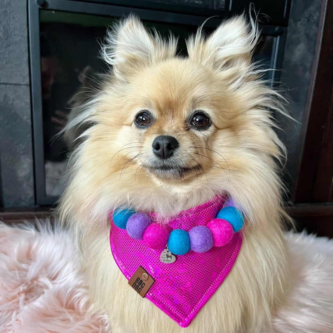 Dog Pom Pom Necklace - Bella