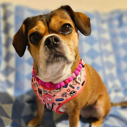 Dog Pom Pom Necklace - Social Media Star Pink