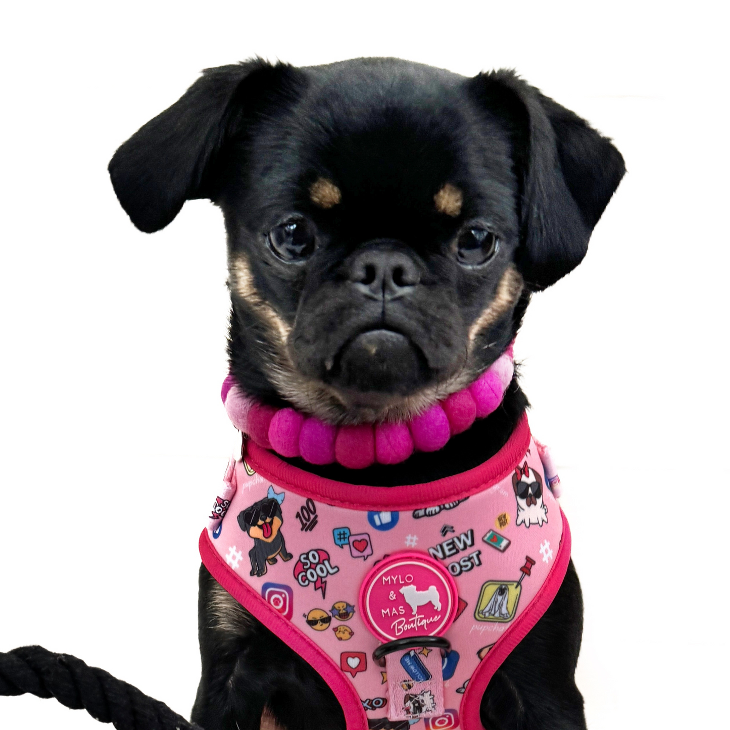 Dog Pom Pom Necklace - Social Media Star Pink