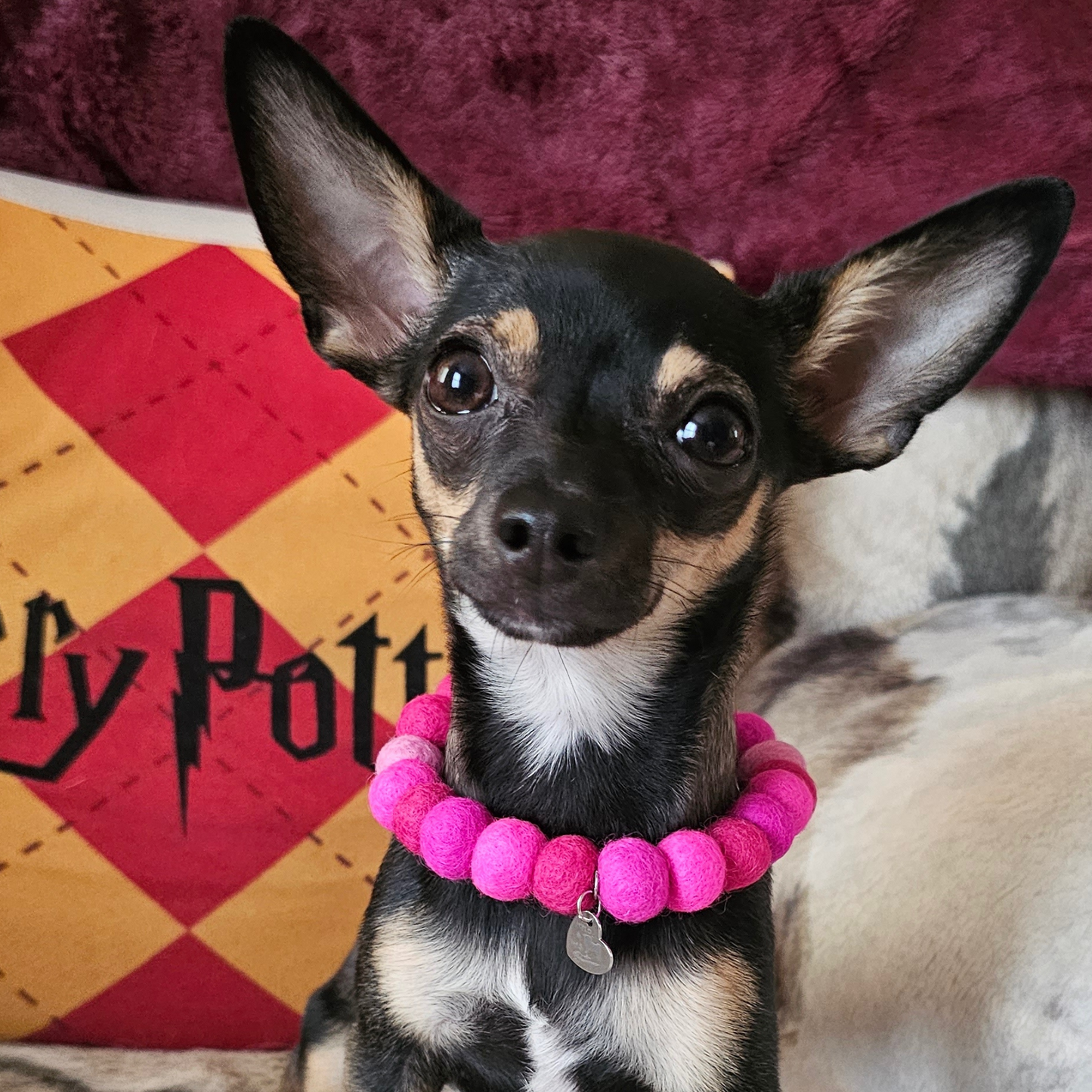 Dog Pom Pom Necklace - Social Media Star Pink