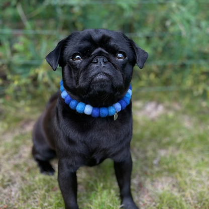 Dog Pom Pom Necklace - Social Media Star Blue