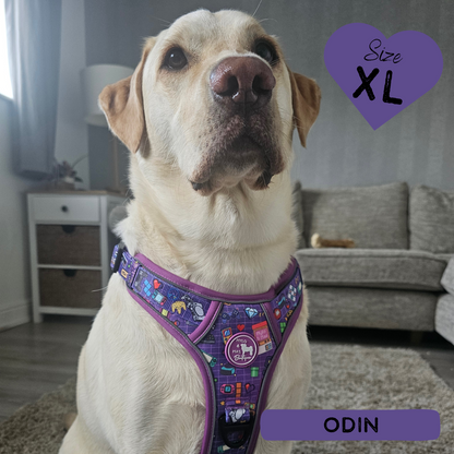 Level Pup | Mighty Hounds XL harness