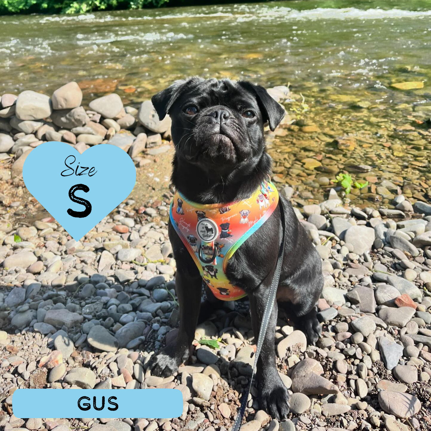 Oh My Pug! | Adjustable Harness