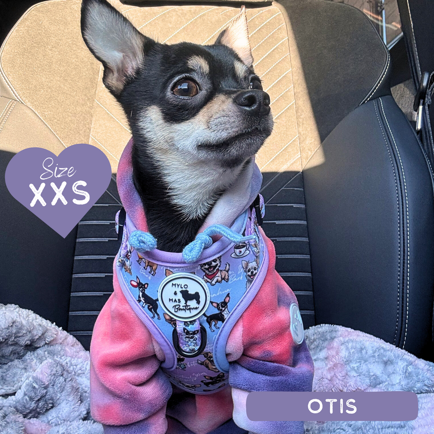 Dog Adjustable Harness - Oh My Chihuahua!