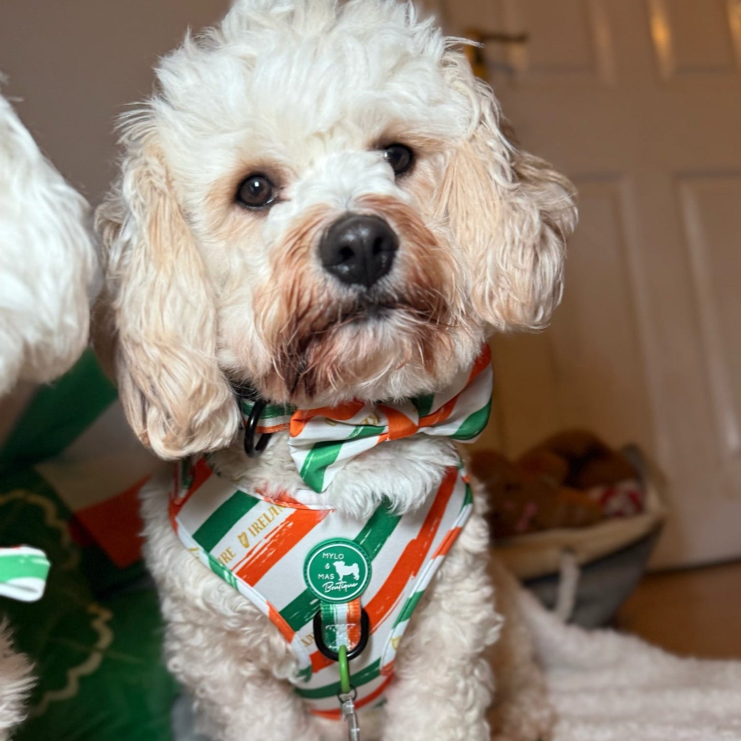 Dog Bow Tie - Legends of Éire