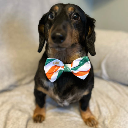 Dog Bow Tie - Legends of Éire