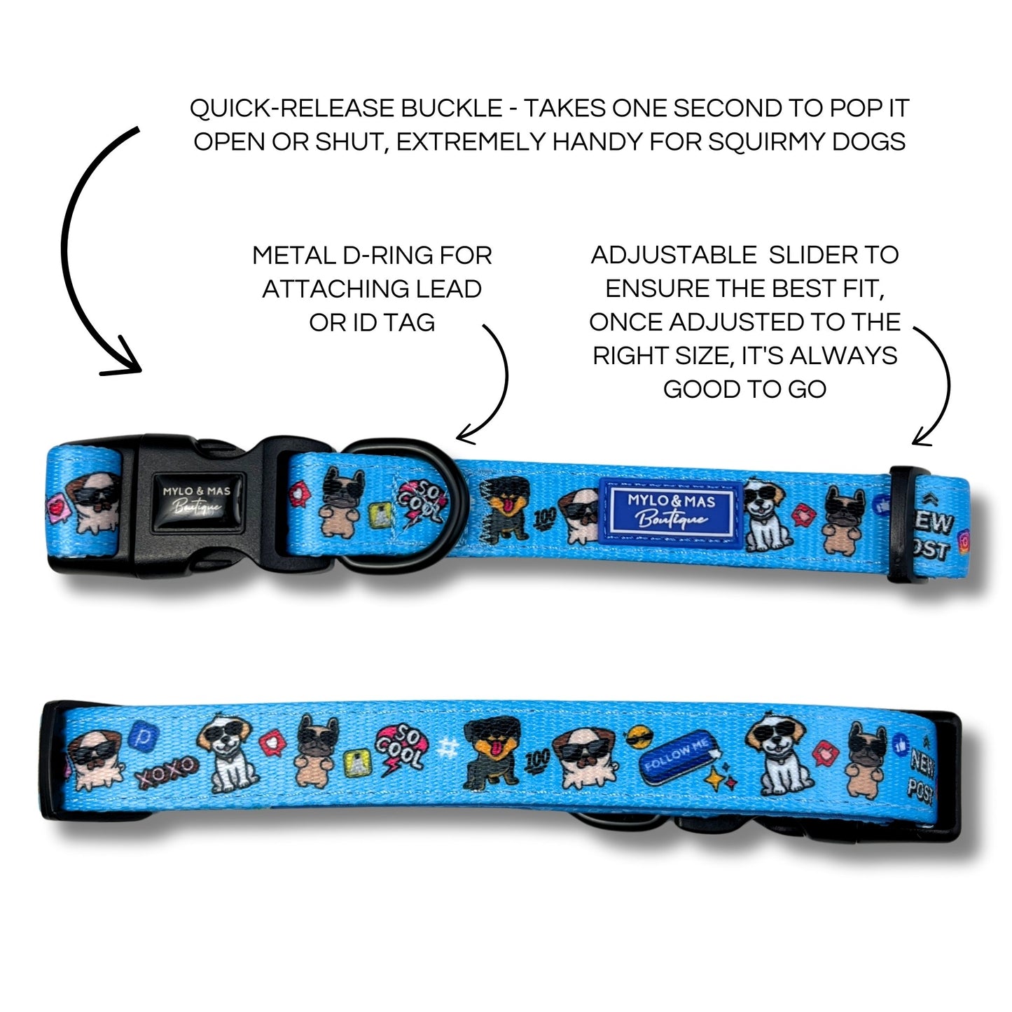 Dog Collar - Social Media Star Blue