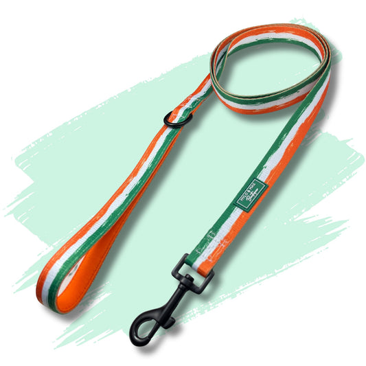 Dog lead featuring green white and orange stripes representing Irish flag.