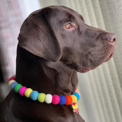 Dog Pom Pom Necklace - Pawpow